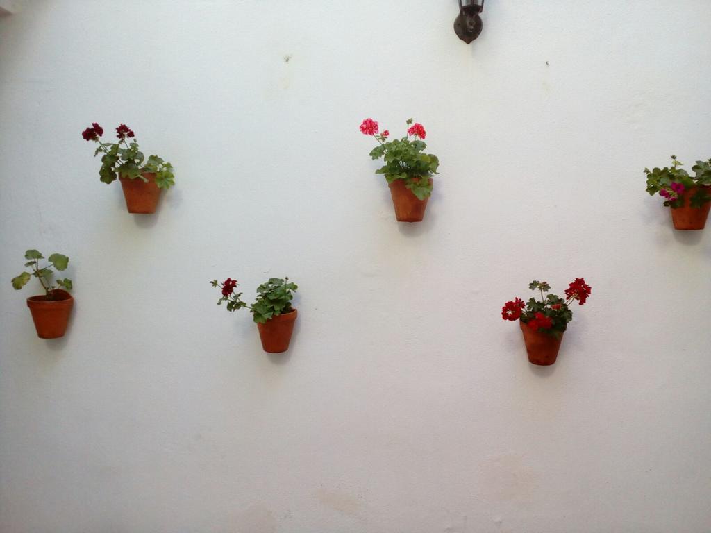 Apartamentos Porvera Jerez เฮเรซ เด ลาฟรอนเตรา ภายนอก รูปภาพ